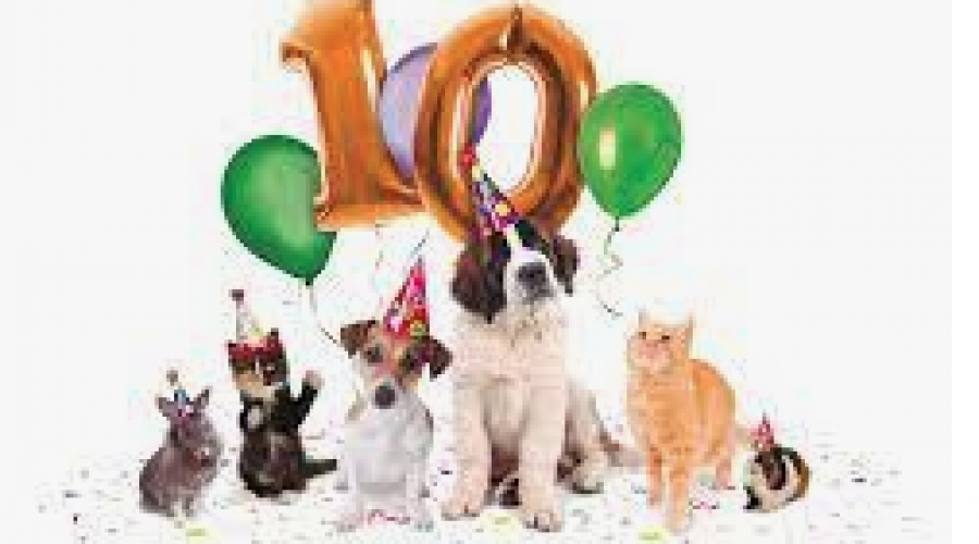 ‘100×100 Mascota 2020’ llega a IFEMA con una intensa agenda de actividades centrada en la adopción